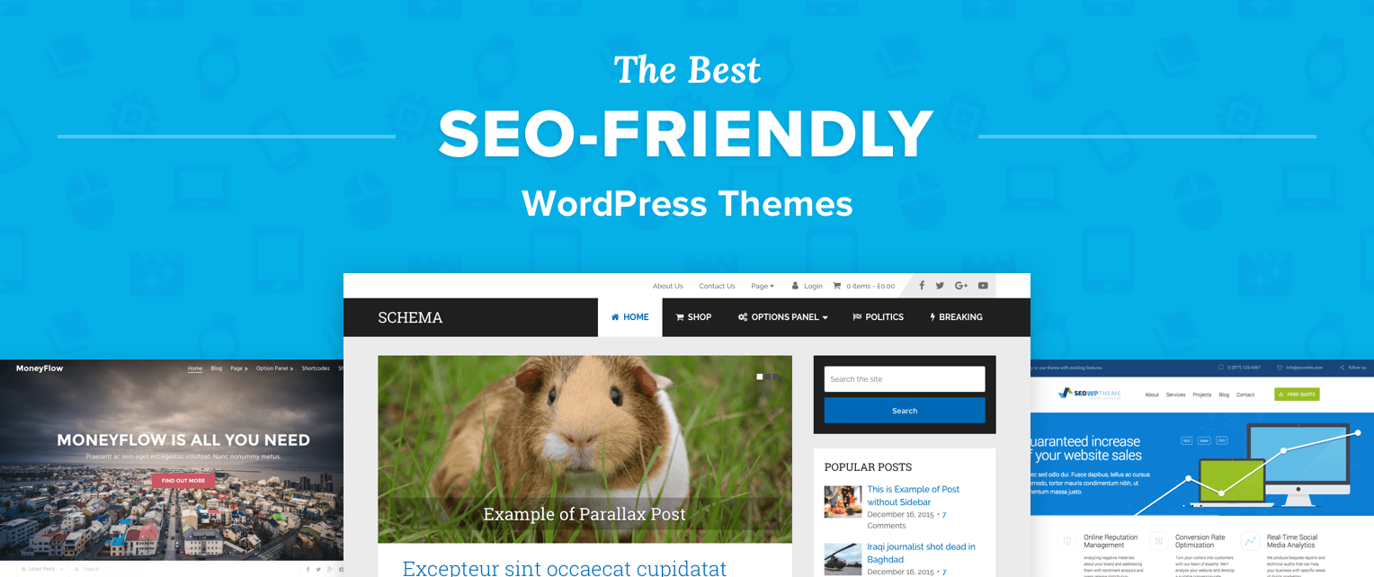 SEO Wordpress Themes